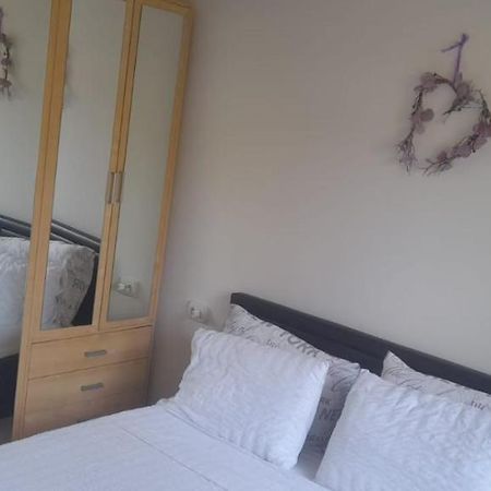 Pliska Apartment Монтана Екстер'єр фото
